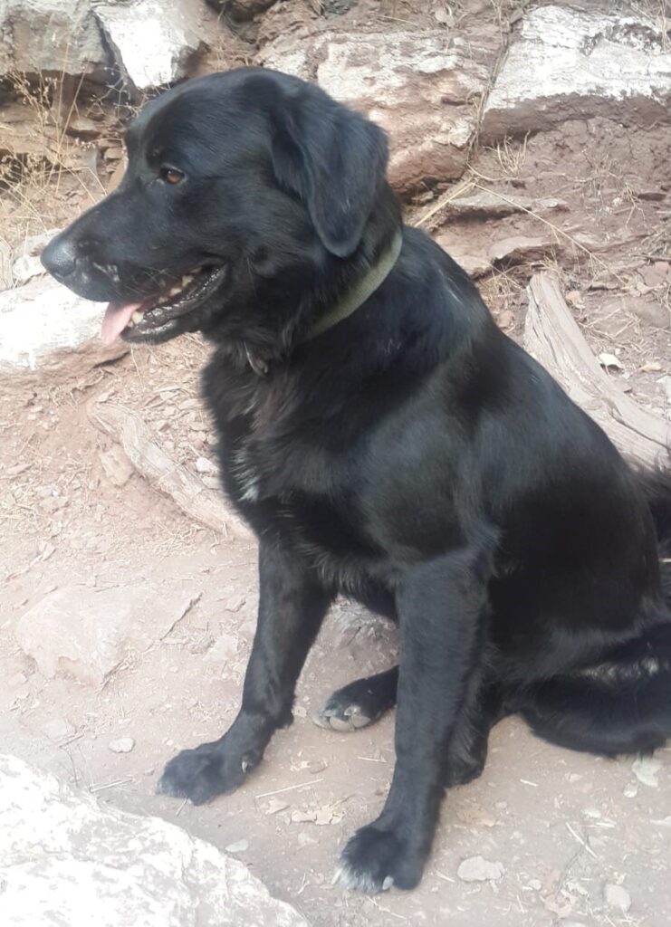 Karbon-741x1024 Yerdeniz Kamp