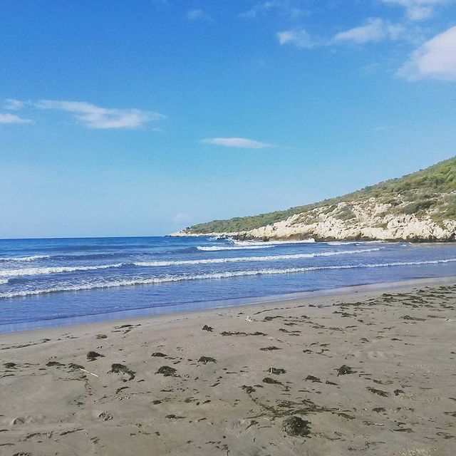 Patara_Sahil Kampingde İş Teklifi