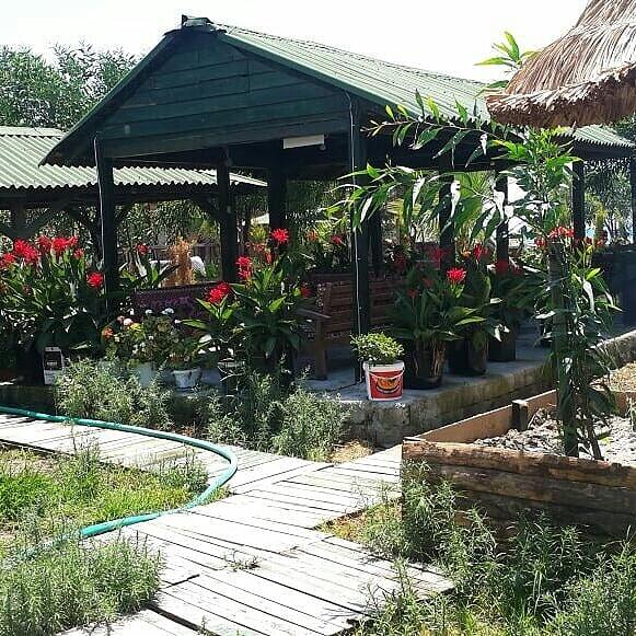 Patara_Taraca Kampingde İş Teklifi